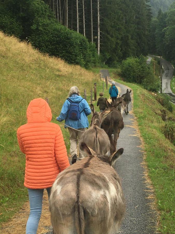 Wengerwirt Zur Laube Panzió Weng im Gesause Kültér fotó