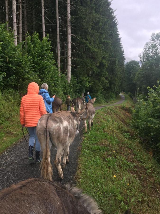 Wengerwirt Zur Laube Panzió Weng im Gesause Kültér fotó