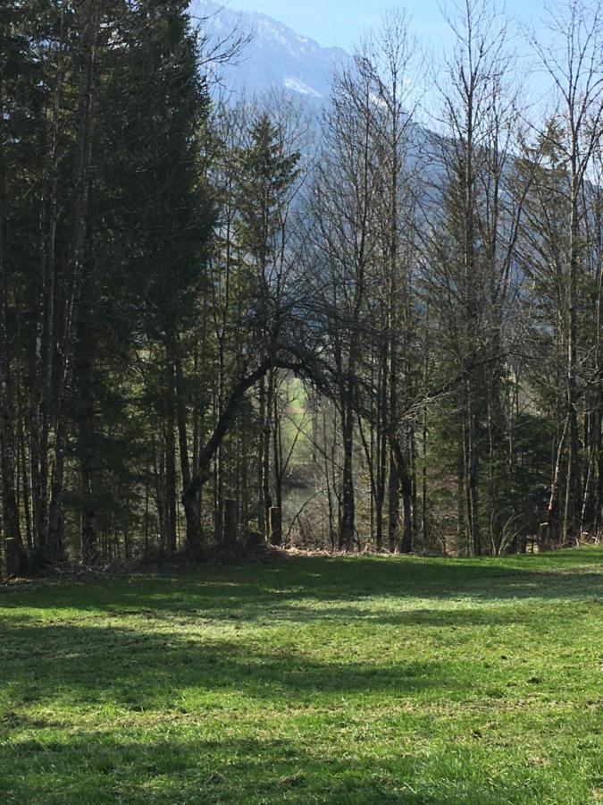 Wengerwirt Zur Laube Panzió Weng im Gesause Kültér fotó