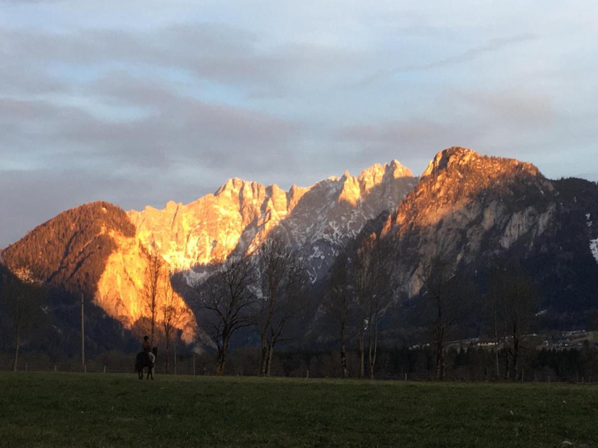 Wengerwirt Zur Laube Panzió Weng im Gesause Kültér fotó