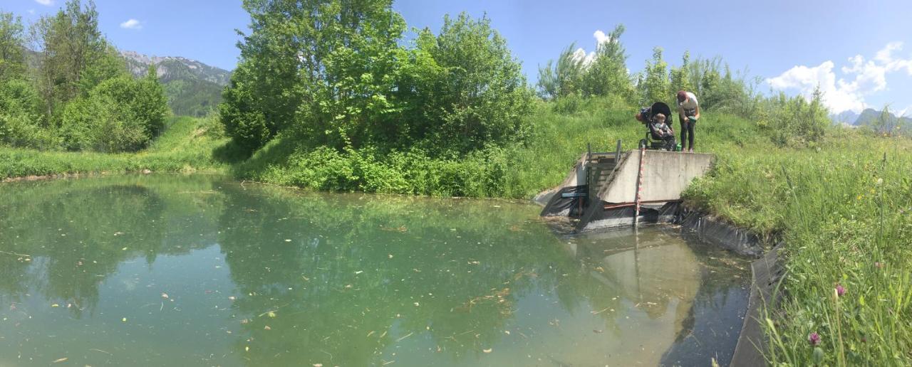 Wengerwirt Zur Laube Panzió Weng im Gesause Kültér fotó
