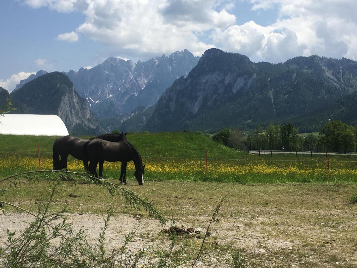 Wengerwirt Zur Laube Panzió Weng im Gesause Kültér fotó