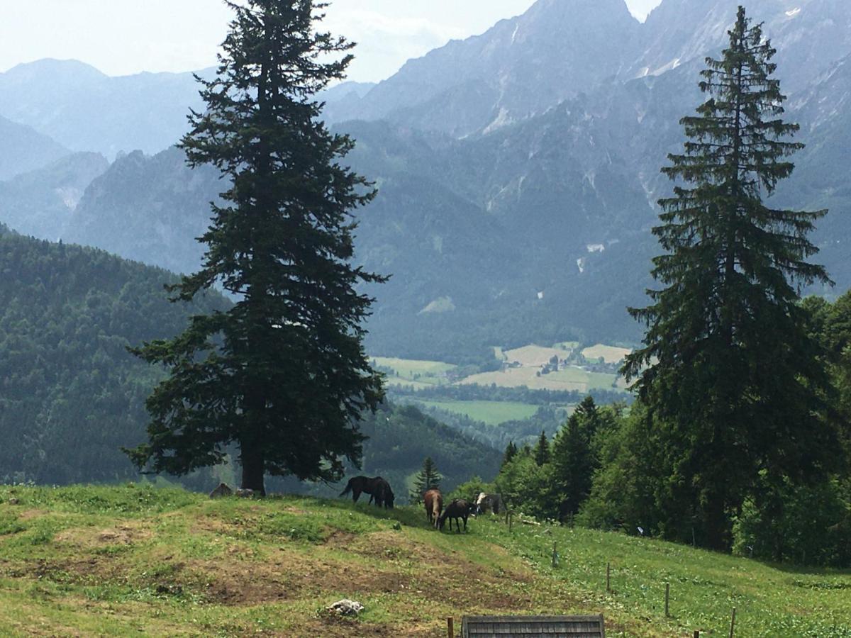 Wengerwirt Zur Laube Panzió Weng im Gesause Kültér fotó