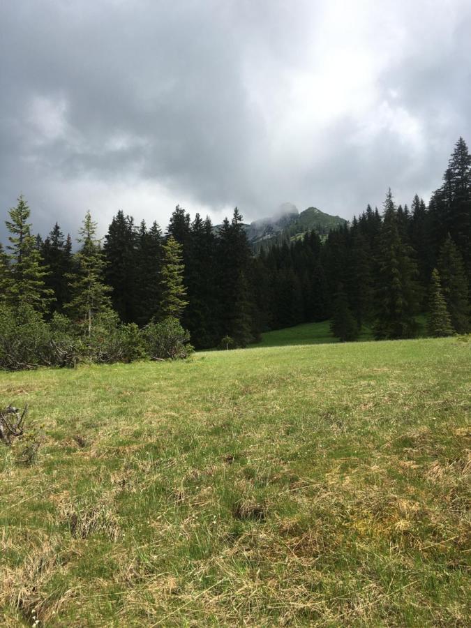 Wengerwirt Zur Laube Panzió Weng im Gesause Kültér fotó